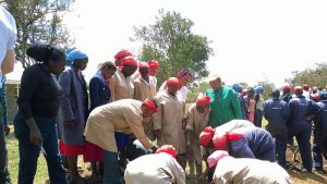 Planting of trees.