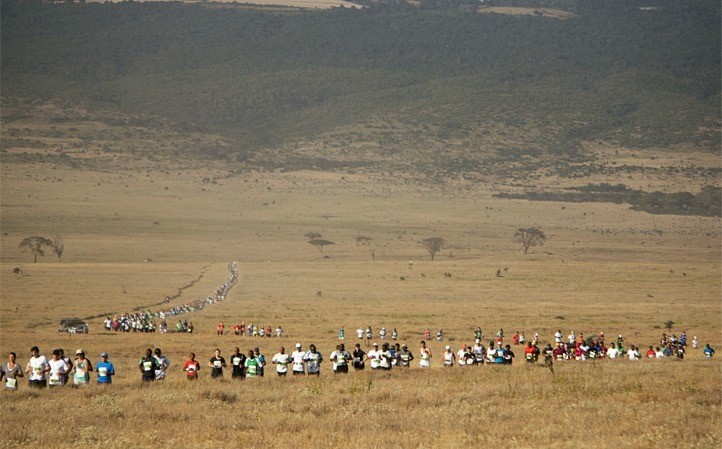 lewa 3