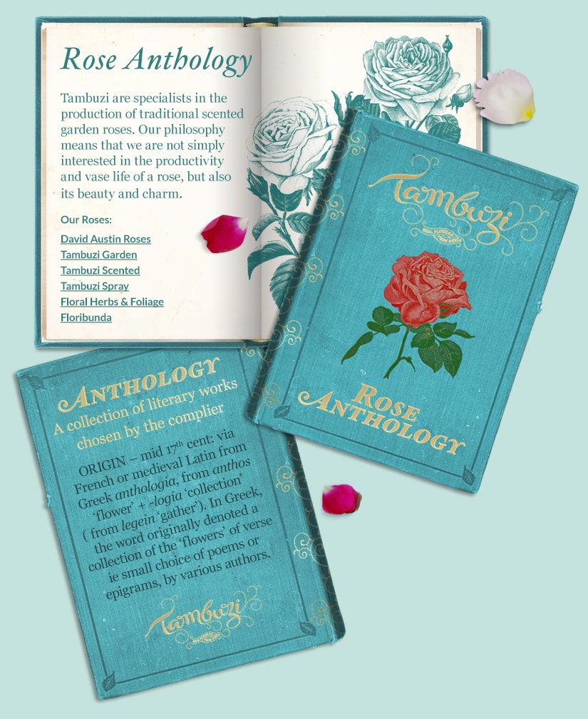 Rose Anthology Book